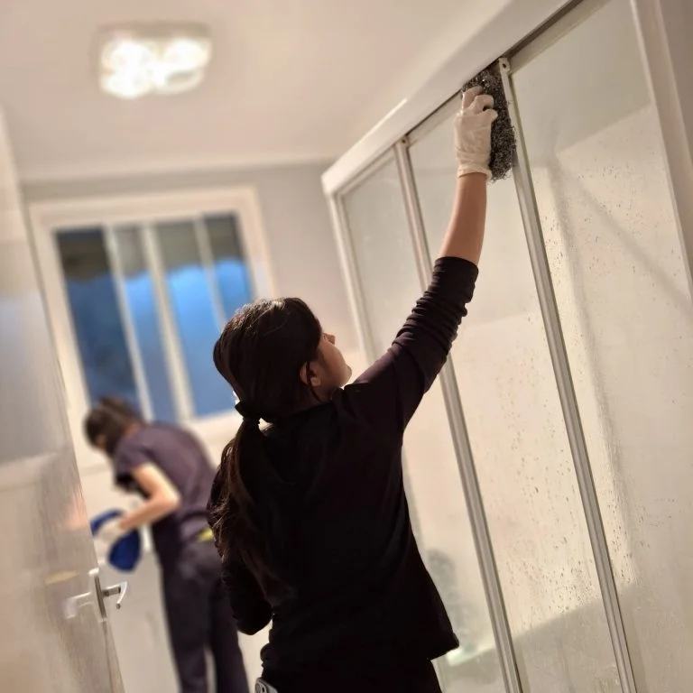 Professional cleaning service